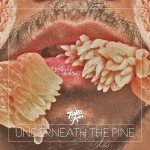Toro Y Moi Announces Sophomore Release