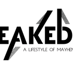 BREAK EDGE: November 9 – Junior Astronomers / Harvard