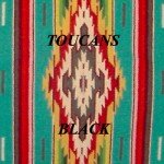 Album Debut-Toucans “Black”