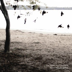 #3 The Tallest Man on Earth-There's No Leaving Now