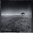 41Y87TJE1PL._SL160_AA115_